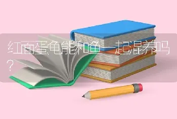 红面蛋龟能和鱼一起混养吗？