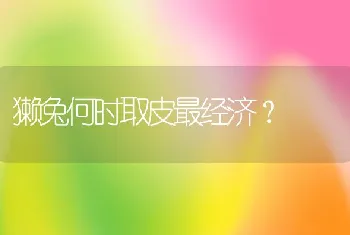 獭兔何时取皮最经济？