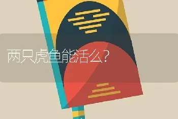 两只虎鱼能活么？