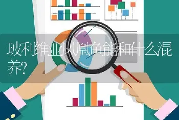 玻利维亚凤凰鱼能和什么混养？