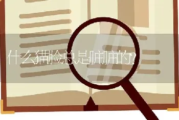 舍小家为大家作文2022年疫情300字心得体会？