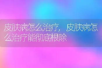 皮肤病怎么治疗，皮肤病怎么治疗能彻底根除