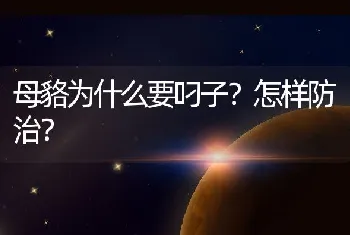 母貉为什么要叼子？怎样防治？