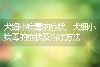 犬细小病毒的症状，犬细小病毒的症状及治疗方法