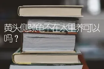 狗狗四个月了才来时耳朵是耷拉的现在怎么竖起来了，麻烦大家看一下？