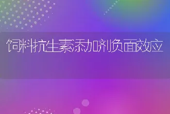 饲料抗生素添加剂负面效应