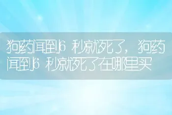 狗药闻到6秒就死了，狗药闻到6秒就死了在哪里买