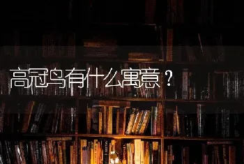 高冠鸟有什么寓意？