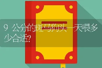 9公分的斑马狗头一天喂多少合适？