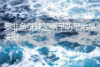 罗非鱼链球菌病早防早治是关键