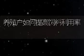 养殖户如何提高饲料利用率