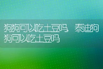 狗狗可以吃土豆吗，泰迪狗狗可以吃土豆吗