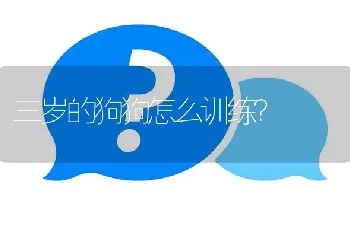 三岁的狗狗怎么训练？