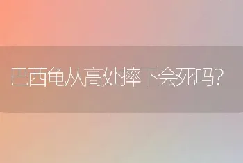 10个月大的狗狗还能领养吗？