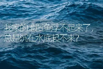 我家的地图鱼浮不起来了，总是沉在水底起不来？