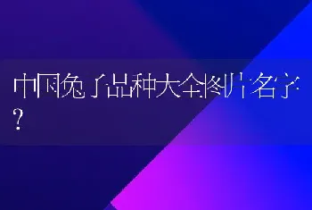 中国兔子品种大全图片名字？