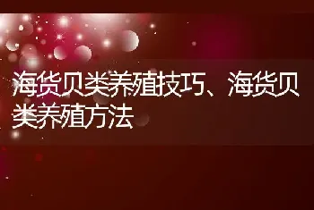 海货贝类养殖技巧、海货贝类养殖方法