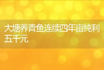 大塘养青鱼连续四年亩纯利五千元