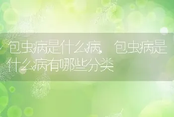 包虫病是什么病，包虫病是什么病有哪些分类