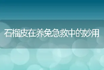 石榴皮在养兔急救中的妙用