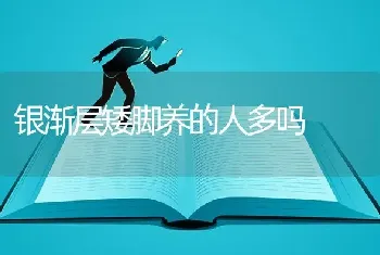 狮子猫多少一只？