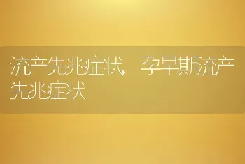 流产先兆症状，孕早期流产先兆症状