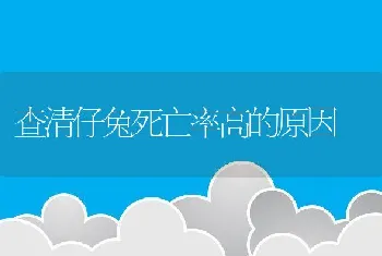 查清仔兔死亡率高的原因