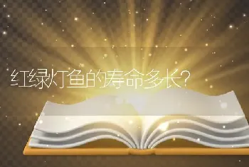 红绿灯鱼的寿命多长？