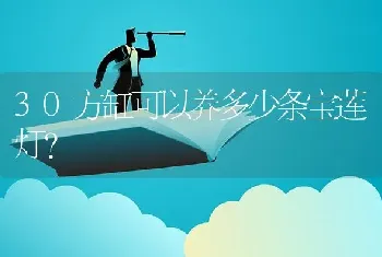 30方缸可以养多少条宝莲灯？