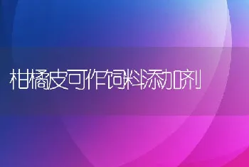 柑橘皮可作饲料添加剂