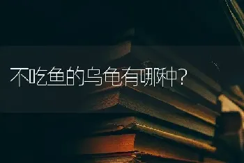 不吃鱼的乌龟有哪种？