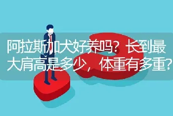 阿拉斯加犬好养吗？长到最大肩高是多少，体重有多重？