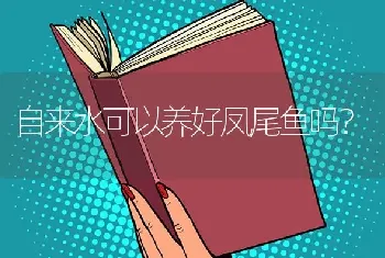 自来水可以养好凤尾鱼吗？