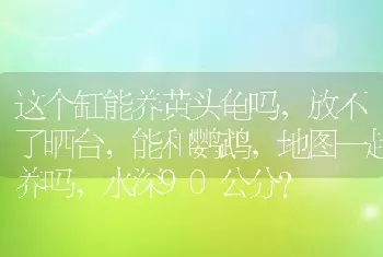 蛋板龟叫什么名字？