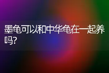 墨龟可以和中华龟在一起养吗？