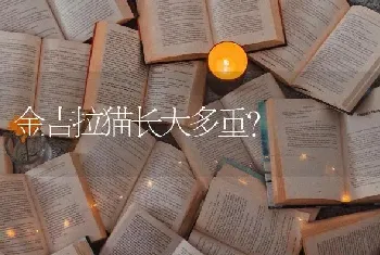 狗狗身上长红疙瘩有脓,可以用碘伏消毒然后搽红霉素眼膏吗？