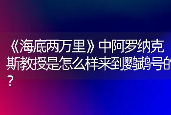 《海底两万里》中阿罗纳克斯教授是怎么样来到鹦鹉号的？