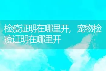 检疫证明在哪里开，宠物检疫证明在哪里开