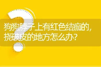 狗狗脖子上有红色结痂的，挠破皮的地方怎么办？