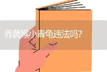 养黄喉小青龟违法吗？