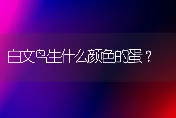 白文鸟生什么颜色的蛋？