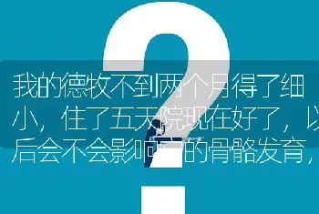 我的德牧不到两个月得了细小，住了五天院现在好了，以后会不会影响它的骨骼发育，长大以后会和同龄的狗狗？