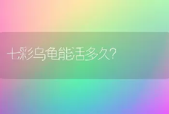 怎么知道小狗有没有内伤？