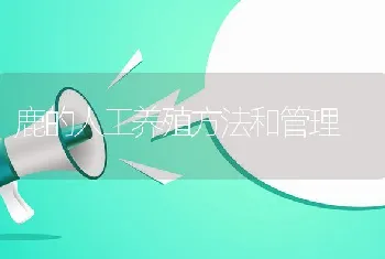 鹿的人工养殖方法和管理