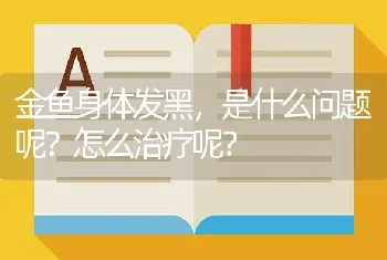 金鱼身体发黑，是什么问题呢？怎么治疗呢？