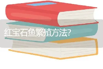 红宝石鱼繁殖方法？