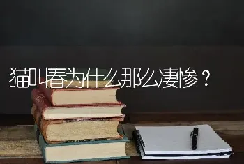 狗狗如果胎死腹中了？