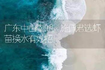 食杂性害虫防治技术