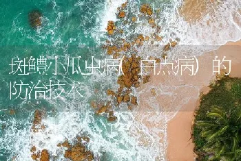 斑鳢小瓜虫病(白点病)的防治技术