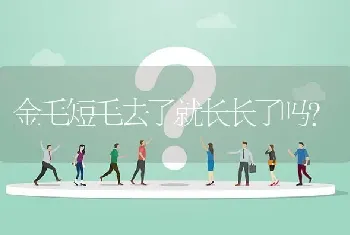 金毛短毛去了就长长了吗？